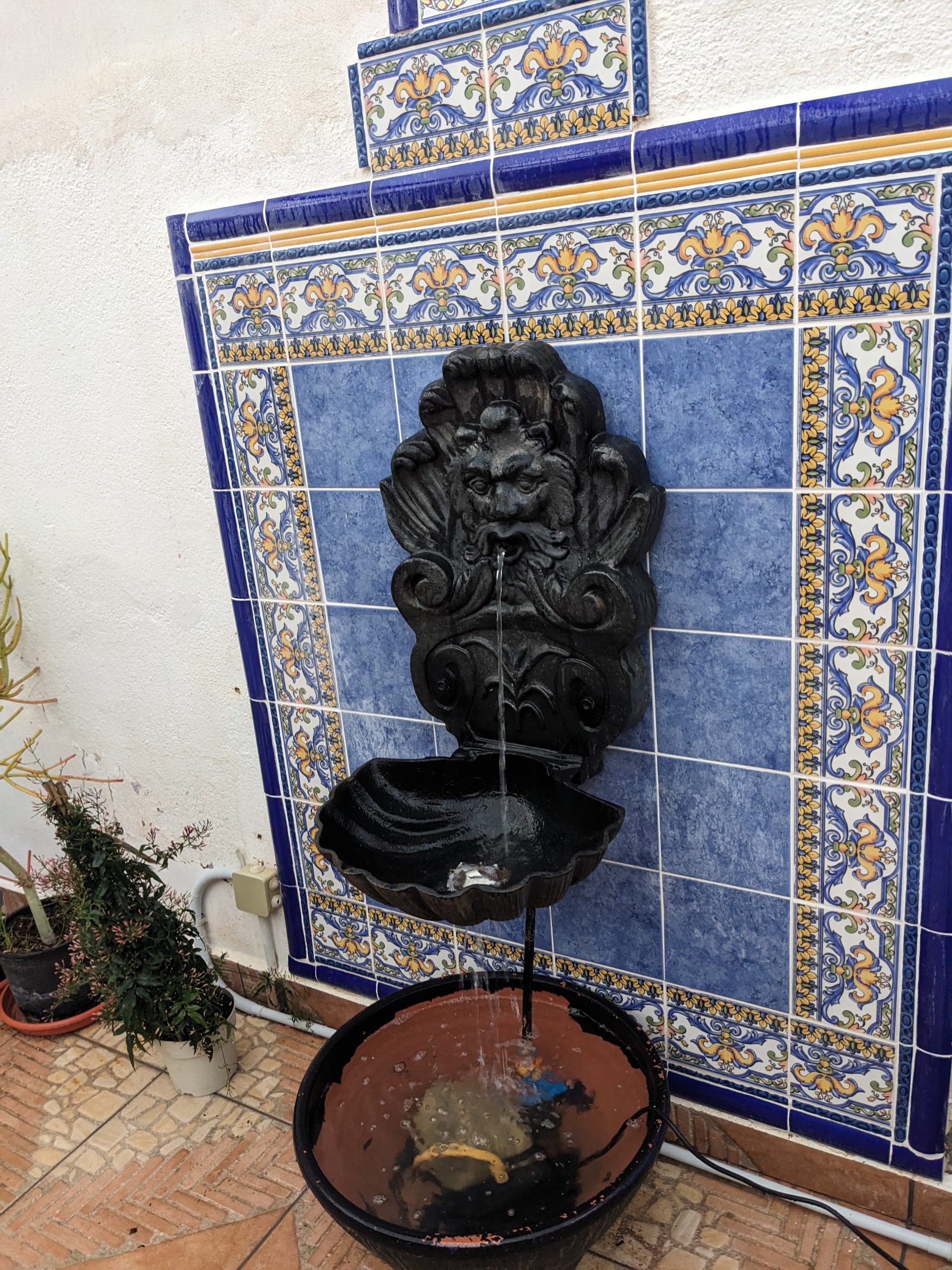 Bean House Water Feature Portrait