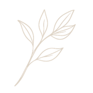 Olive Lead Design