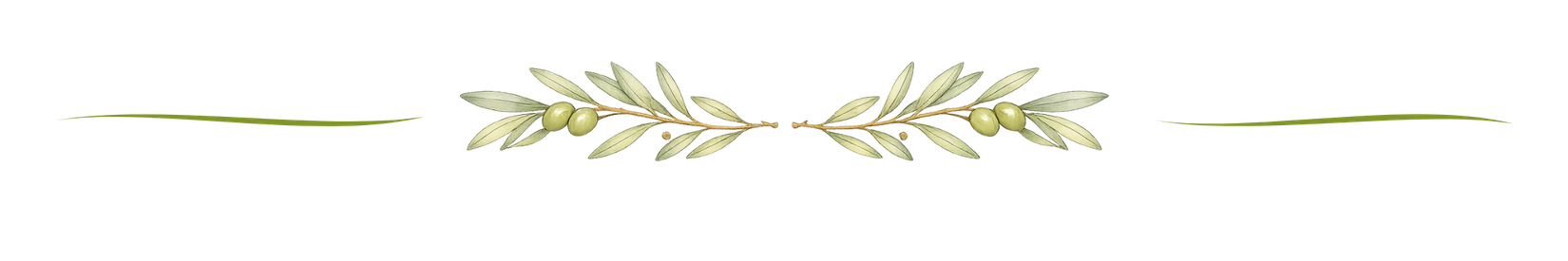 Olve Branch Divider